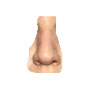 bfbcdbce-9e7f-482f-b72e-008b05b9b617.png